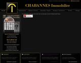 Création du site internet + logo