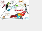 Carte pour la diffusion d informations politiques pour une association de vnzuliens en France + Dessin vectoriel des oiseaux.