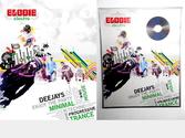 Composition graphique \"clubbing\" sur le thème de la musique électronique réalisée pour un particulier. Cette commande requiert un gros travail préalable pour cerner les envies du clients et coller le plus à sa personnalité. FICHE TECHNIQUE : Objet de décoration - Poster 40X50cm - Papier Brillant - Tecco HiGloss 260g - Cadre imitation alu - CD intégré au support