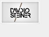 cration de logo pour le photographe Davolo Steiner