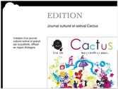 Création d'un Journal culturel et estival financé
par la création d'encarts publicitaires.
Ce journal a été diffusé dans la région Bretagne
( À St Malo, Dinan, Dinard).