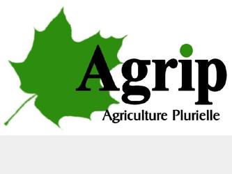 Logo Agriculture Plurielle (Agrip), entreprise agricole évoluant dans le secteur de l'hévéaculture.