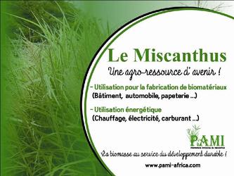 Affiche 4 sur 3 m, pour l'entreprise PAMI, entreprise agricole spécialisée dans la culture d'agro-ressources innovantes pour les bioénergies. 