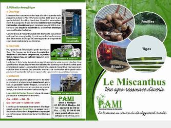 Plaquette commerciale A3 pour l'entreprise PAMI (Plantations Africaines de Miscanthus)