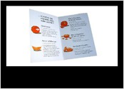 Déclinaison du thème de l'orange sur les pages intérieures et la 4ème de couverture.
Le texte a été fourni par le client