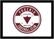 Réalisation du logo + identité visuelle pour le Phoenix FC (futsal)