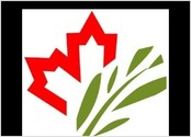 Logo créer pour l'association Racines Sud Montréal (filiale québecoise de l'association francaise Racines Sud).