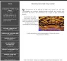 Habiilage flash du site de la salle de concert lyonnaise La Halle Tony Garnier