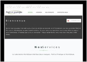 Conception site web vitrine pour les produits Petit et Pratique, marque du Laboratoire Worldclean. Option volution site ecommerce  venir.