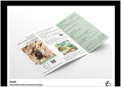 Réalisation du flyer pour l'association Hirschkäfer-Suche, dans le cadre d'un projet de protection de la nature.