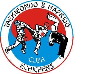 Logo taekwondo et hapkido pour le club d'Echichens en Suisse.