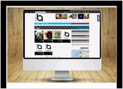 Creation du site internet Buzart : portail communautaire d'artistes et de galeristes d'art.