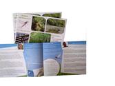 Création graphique, mise en page et réalisation dune brochure de 12 pages sur le projet Natura 2000