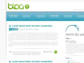 Exemple template blog