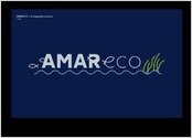 Amareco est une jeune entreprise d amarrages cologiques qui compensent l impact des lests traditionnels sur les fonds marins. Leurs lests co-conus reproduisant les habitats naturels des espces marines locales pour leurs permettre de se rimplanter.
Le projet Raliser une identit de marque et tous les supports prints assortis pour leur permettre de lancer leur entreprise et se faire connatre lors de divers vnements
www.amareco.fr
