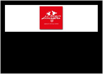 descriptif portfolio angelinadb logo