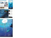 Création d'une plaquette 2 volet pour Dunes Maldives :

- Sélection de photographies et retouche colorimétrique (Photoshop)
- Choix de typo et mise en page (InDesign)
- Création d'habillages graphiques
- Création d'une carte sous Illustrator
- Préparation du fichier pour l'impression
- Suivi d'impression
