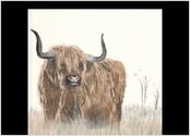 Aquarelle d'une vache Highland, sur papier de qualité.