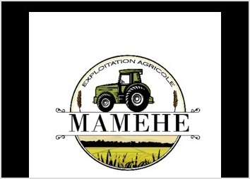 Logo créé pour une exploitation agricole de riz à Madascar. Le client voulait un logo vintage élaboré, qui rappelle explicitement leurs activités agricoles. Le logo a été réalisé via Adobe Illustrator