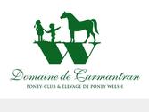 logo pour un poney-club et levage de poney welsh.