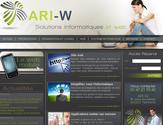 Cration de la charte web du site de ARI W, Agence de solutions informatiques et web  Nanterre