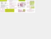 descriptif portfolio bolen autre