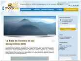 Site de demandes de devis + blog
Wordpress