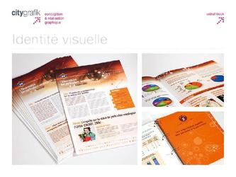 newsletter, classeur, cd rom, pdf interactif.
