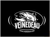 Création du logo pour le magasin « Veinedeau » spécialisé dans la pèche à la mouche.