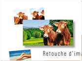 Deux vaches Limousines :
Fond de panneau, décliné en réglettes et stickers pour points de vente Viande Bovine labellisée. Région Pays de la Loire.

Fleuriste :
En couverture de trimestriel (CAG Info) pour un Centre de Gestion. Le but étant de valoriser le métier à partir d'une image imposée.

Plage :
Travail personnel non commercialisé. 