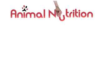 Logo réalisé pour Animal Nutrition La Rochelle - vente d'accessoires et d'aliments pour animaux.