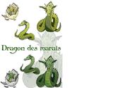 Projet demandé :
Faire une Illustration représentant un dragon ainsin que ses différentes évolution pour un site de jeu en ligne, de la catégorie "jeu de gestion".