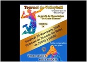 affiche format A4 ralis pour le club de volley-ball de ma ville
seconde projet ralis pour le mme club de volley-ball 