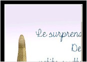descriptif portfolio flocreative image-illustration