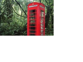 Image (Photoshop) réalisée pour illustrer le texte : "Perdu dans la jungle publicitaire ? Contactez le Frangotier..."