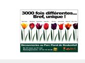 Affiche pour le parc floral de Keukenhof en Hollande.Diffusion mtro parisien