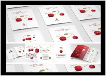 Creation et execution d'une plaquette A4 - 10 pages : Plus de detail sur www.graphistenicolas.com