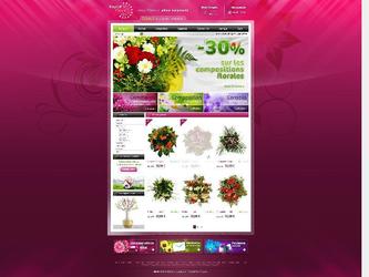 Site internet Rapid Flore Création Web et Solutions