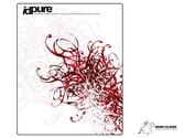 Finaliste au concours graphique du magazine idPure 2007