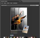 Recherche personnelle pour visuelle et identité graphque domaine sport.