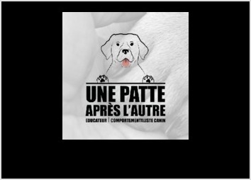 Logo pour une éducatrice canine, réalisé à partir d'une photo de son chien.