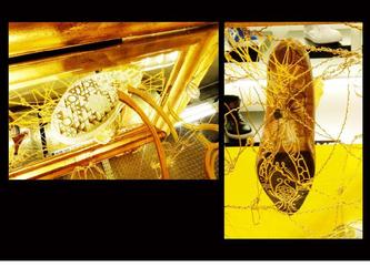 descriptif portfolio loona 