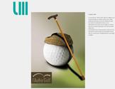 Ralisation virtuelle d une communication pour promouvoir un nouveau golf appel "l autre golf". Ralisation d un logotype, de flyers, et d  une bannire web. L ide tant de moderniser et dmocratiser le golf pour le rendre accessible  tous.