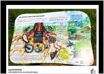 Illustration et conception d un panneau zoologique dans le cadre d un projet de protection de la nature, en Allemagne (Bad Bertrich).