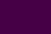 site Flash pour un salon de beauté et de bien-être
