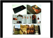 Brochure en accordon pour presentation la marque et la gamme de spiritueux. Art Direction pour les photos. Suivi jusqu\