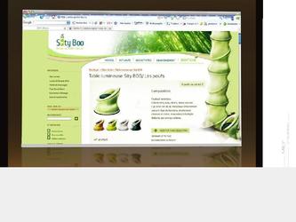 interface du site de SityBoo