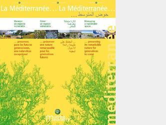 Ralisation avec une artiste montpelliraine Delphine Bonnet de 5 habillage de colonnes, 38 kakmonos, 5 tours habillage de colonnes, chemise