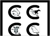 Création de 4 logos produits pour une marque de maréchalerie.