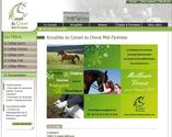 Refonte du site Internet du Conseil du Cheval de la Région Midi-Pyrénées